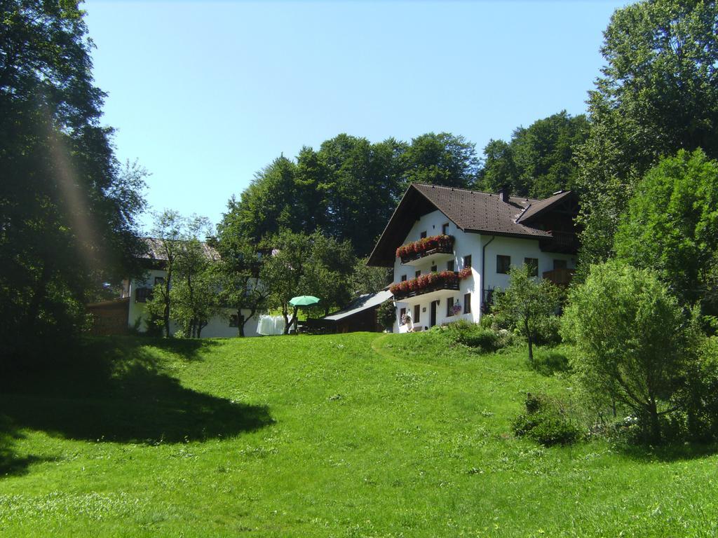 Bauernhof Familie Knoblechner Villa Nussdorf am Attersee Room photo